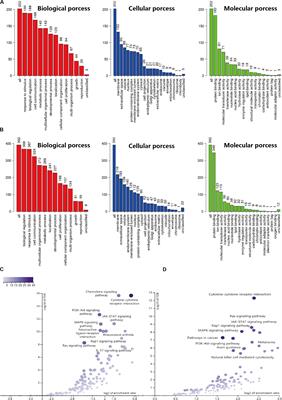 Prognostic Implications of Immune-Related Genes’ (IRGs) Signature Models in Cervical Cancer and Endometrial Cancer